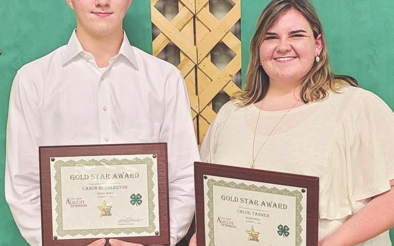 GOLD STAR AWARD WINNERS Ochiltree County 4-H held its annual awards ceremony Monday night at the Expo Center. Winners of the Gold Star Awards, the highest county awards that can be given to a 4-H member, were, from left, Conor Huddleston and Chloe Tanner. Huddleston and Tanner received a plaque from the county, a pin, and a certificate from the state.