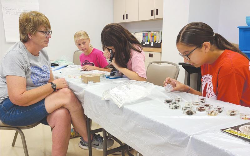 INSECT INVESTIGATIONS