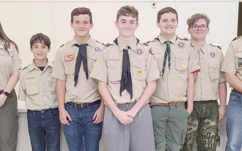 SCOUTS EARN MERIT BADGES