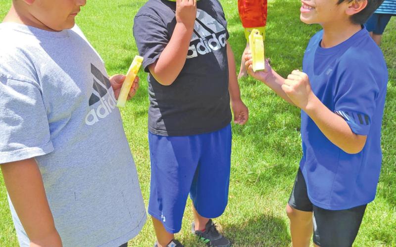 SUMMERTIME FOOD AND FUN