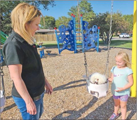 DOG ON A SWING