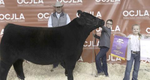 RESERVE GRAND CHAMPION STEER