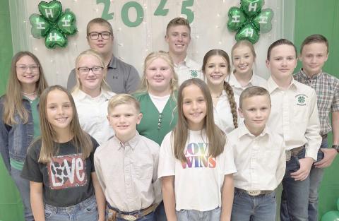 Erickson chosen as Young Careerist
