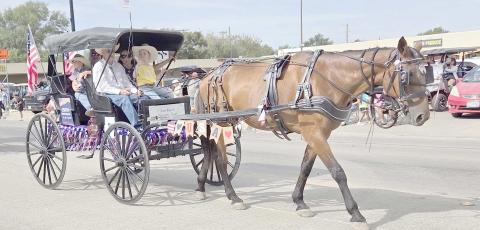 The annual Wheatheart of the Nation Celebration parade on Saturday, Aug. 22, brought folks from all over Perryton and Ochiltree County for the fun and festivities. The prize for the best Live Animal entry in the parade went to Jines Ranch.