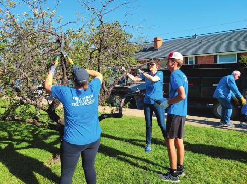 TREE TRIMMING DUTIES