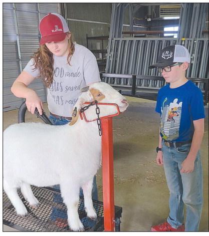 STOCK SHOW PREP