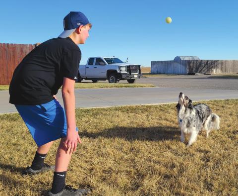 PLAYING FETCH
