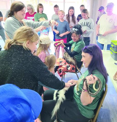 UP CLOSE WITH THE ANIMAL KINGDOM Perryton residents got treated to a special program by Amarillo’s Wild West Wildlife Rehabilitation Center on Saturday afternoon at the Museum of the Plains. Lisa Talley and Christy Rowley, volunteers at the center, spoke to a roomful of kids, parents, and animal lovers about the work the center does caring for injured animals before releasing them back into the wild. They also brought a number of tame ambassador animals, including a skunk, an opossum, a striped California k