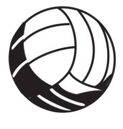 Alt Text for Image