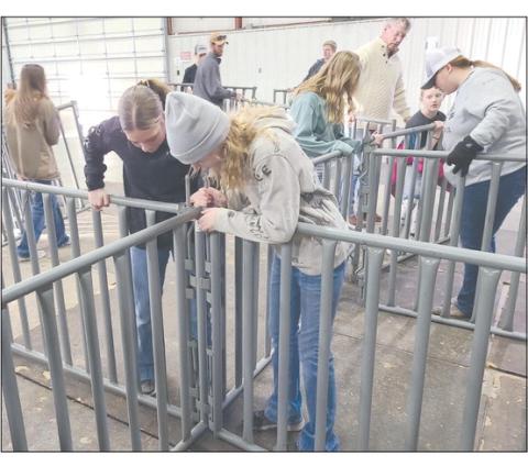 Students from 4-H and FFA, along with their parents, headed out to the Ochiltree County Expo Center on Tuesday evening to help get the exhibit hall ready for the 86th annual Ochiltree County Junior Livestock Show and Sale, which is slated for this weekend, Jan. 19-20. Students will be showing more than 100 animals, beginning at 8 a.m. on Friday.