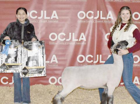 This year’s Reserve Grand Champion Sheep at the Ochiltree County Junior Livestock Show and Sale on Jan. 17-18 was awarded to Tana Williams. The animal was purchased by John Floyd Earth Moving. Pictured are, from left, Emma Arellano and Tana Williams. ( Photo credit: Morgan Dudley)
