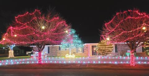 FESTIVE LIGHTS