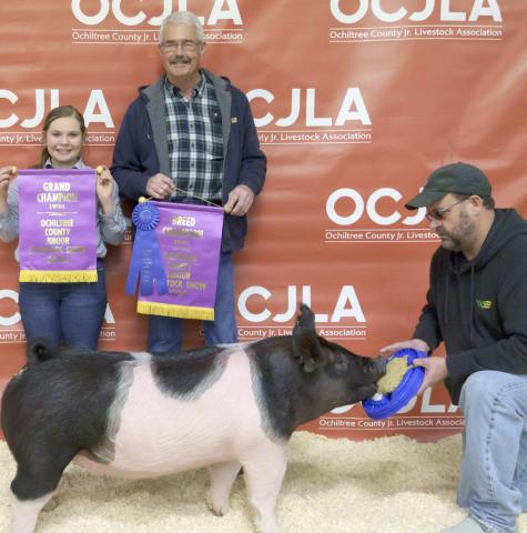 GRAND CHAMPION SWINE