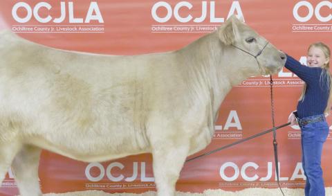 GRAND CHAMPION HEIFER