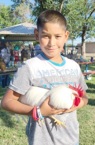 BIRD’S THE WORD— The 2022 Ochiltree Bantam Show was held last Tuesday evening at Leatherman Park as members of Ochiltree County 4-H brought in poultry to exhibit. The show was judged by Russell and Carlet Estlack. Adan Gonzalez, age 10, won Best of Show and Best Rooster for his Bantam White Leghorn, Peter.