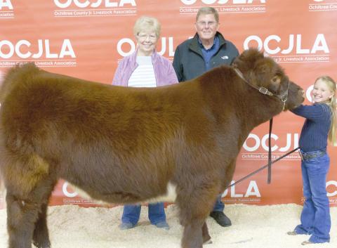 RESERVE GRAND CHAMPION STEER