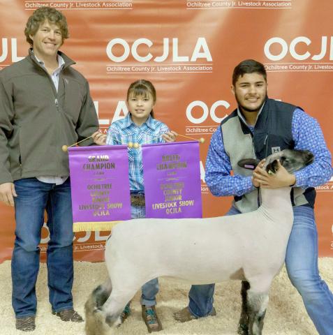GRAND CHAMPION SHEEP— At the Ochiltree County Junior Livestock Show and Sale on Jan. 20-21, the prize for Grand Champion Sheep went to Dalton L’Esperance. His animal was bought by Premier Hot Oil Service. Pictured are, from left, Jason Pshigoda, Chloe Richardson, and Dalton L’Esperance. ( Photo credit: Brittany Morgan)