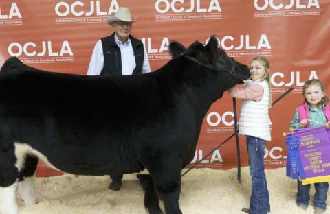 GRAND CHAMPION STEER