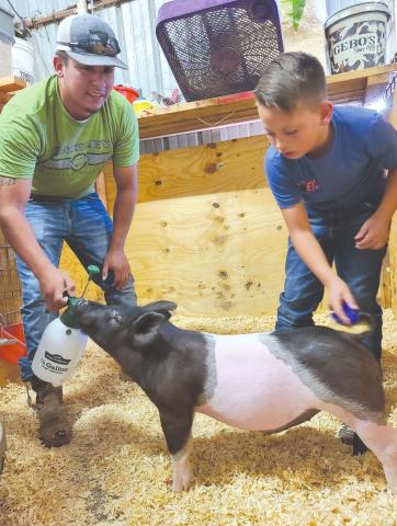 THAT’S SOME PIG!