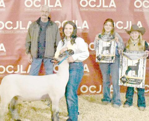 GRAND CHAMPION SHEEP