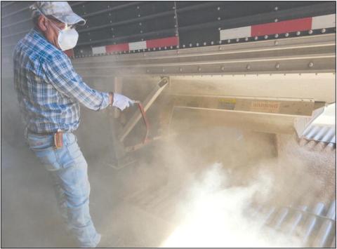 A BAD YEAR FOR WHEAT In a year that brought extreme drought followed by extreme rainfall, it was hard for area wheat producers to catch a break. Dryland fields were almost completely wiped out, with irrigated fields bringing in less wheat than normal. Pictured is Javier Sigala offloading a load of wheat at the Farnsworth Equity elevator in Farnsworth.