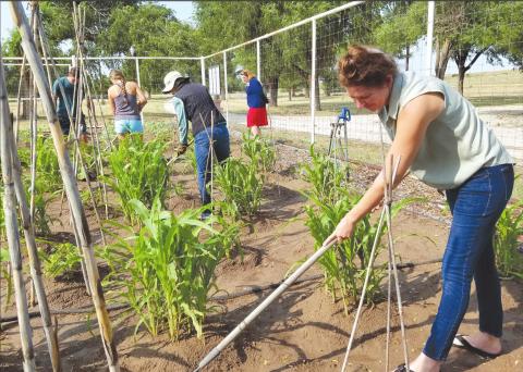 OLD-FASHIONED GARDENING