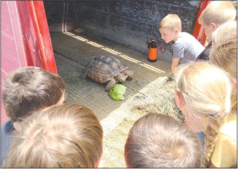 Frank Phillips College Allen Campus, ran the first week of their annual Kids College this week, with lots of activities for kids from ages 5-12. During Farm Camp, kids got to meet interesting animals, including a pair of African spurred tortoises, owned by Dr. Kristina Keeth, a veterinarian from Spearman.
