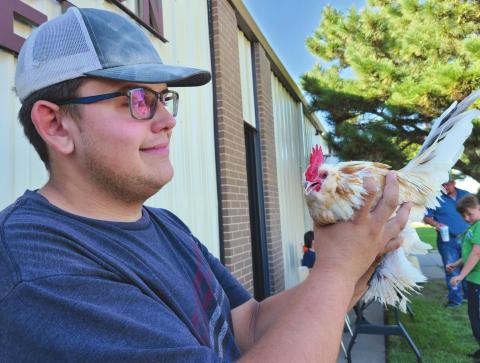 SHOWCASING EGG-CELLENCE