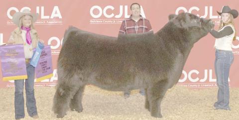 GRAND CHAMPION STEER