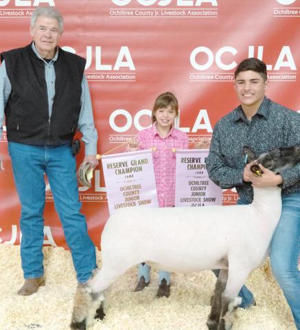 RESERVE GRAND CHAMPION SHEEP