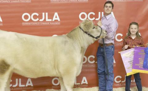 RESERVE GRAND CHAMPION