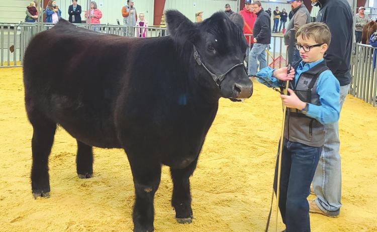 STOCK SHOW OPENS AT EXPO