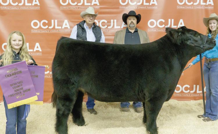 GRAND CHAMPION STEER— This year’s Grand Champion Steer at the Ochiltree County Junior Livestock Show and Sale on Jan. 20-21 was awarded to Maddie Schickedanz. The animal was purchased by Broken Arrow Crop Insurance, John Floyd Earth Moving, and Chris Smith Wealth Management. Pictured are, from left, Sydney Schickedanz, Larry Schickedanz, Jason Schickedanz, and Maddie Schickedanz. (Photo credit: Brittany Morgan)