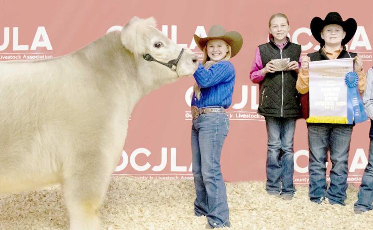 RESERVE GRAND CHAMPION STEER—At the Ochiltree County Junior Livestock Show and Sale , Lakyn Boxwell took home the award for Reserve Grand Champion Steer. Her animal was purchased by Boxwell Brothers Funeral Home. Pictured are, from left, Lakyn Boxwell, Victoria Wright, Teaghan Morgan, and Tallen Morgan. (Photo credit: Tessa Powell)