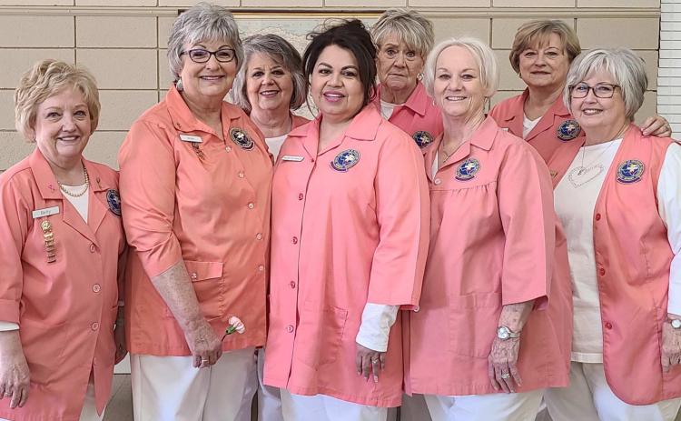 AUXILIARY OFFICERS—The Ochiltree General Hospital Auxilliary installed new officers this week. Pictured are, from left, front row, secretary Betty Caddel, president Debby Schollenbarger, third vice president Susie Estrada, treasurer Ethel Rudd, and co-second vice president Kay Turner; and back row, gift shop manager Debbie McGarraugh, historian Judy Russell, and gift shop manager Jean Pshigoda. Not pictured are first vice president Linda Rodgers and co-second vice president Janelle Cochran.