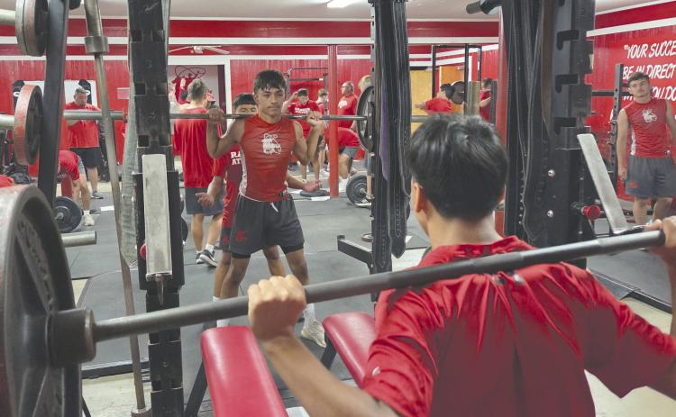 The Perryton High School Rangers have been hard at work for the past few weeks preparing for the upcoming season. While that includes memorizing plays and practicing passes and blocks, it also includes weight training to boost their strength and stamina. Pictured are Ivan Chavez in the back, with Khadyn Juarez spotting just behind him, and Alex Venegas in the foreground. The Rangers will play their season opener on Thursday, Aug. 28, at 7 p.m. in Canyon.