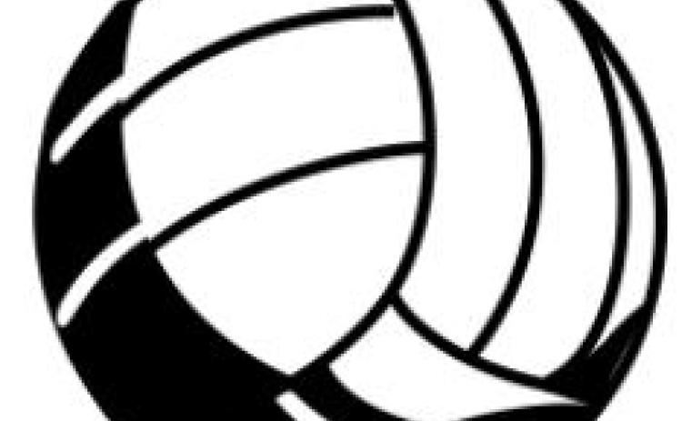 Rettes cage Lady Tigers