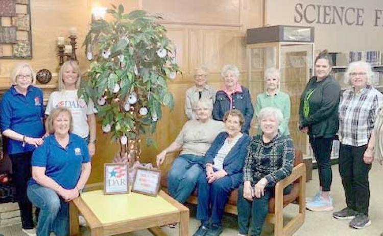 Wolf Creek NSDAR creates Patriot Tree