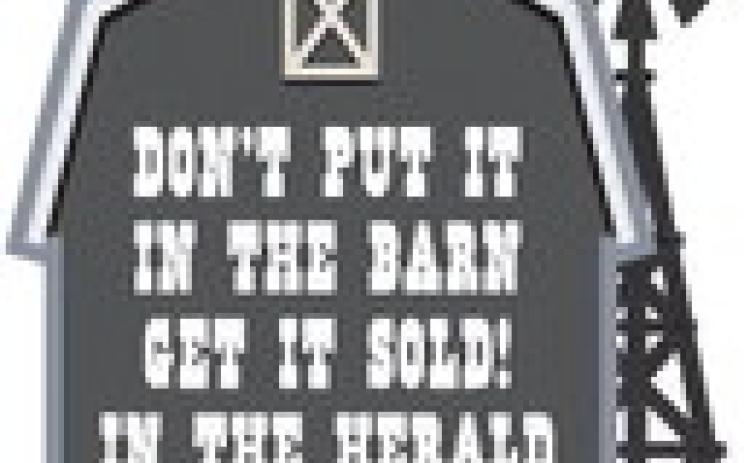 Alt Text for Image