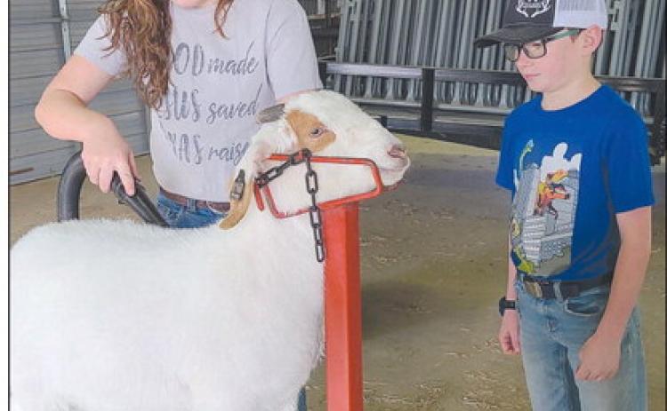 STOCK SHOW PREP