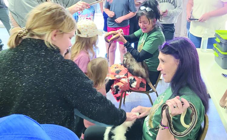 UP CLOSE WITH THE ANIMAL KINGDOM Perryton residents got treated to a special program by Amarillo’s Wild West Wildlife Rehabilitation Center on Saturday afternoon at the Museum of the Plains. Lisa Talley and Christy Rowley, volunteers at the center, spoke to a roomful of kids, parents, and animal lovers about the work the center does caring for injured animals before releasing them back into the wild. They also brought a number of tame ambassador animals, including a skunk, an opossum, a striped California k