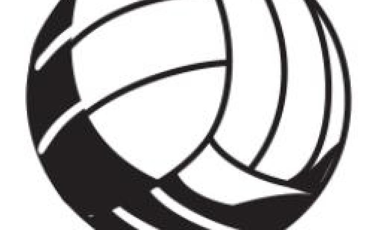 Alt Text for Image