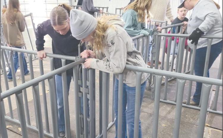 Students from 4-H and FFA, along with their parents, headed out to the Ochiltree County Expo Center on Tuesday evening to help get the exhibit hall ready for the 86th annual Ochiltree County Junior Livestock Show and Sale, which is slated for this weekend, Jan. 19-20. Students will be showing more than 100 animals, beginning at 8 a.m. on Friday.