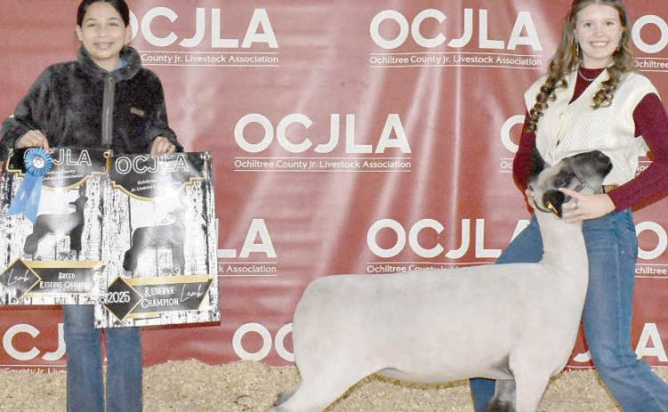 This year’s Reserve Grand Champion Sheep at the Ochiltree County Junior Livestock Show and Sale on Jan. 17-18 was awarded to Tana Williams. The animal was purchased by John Floyd Earth Moving. Pictured are, from left, Emma Arellano and Tana Williams. ( Photo credit: Morgan Dudley)