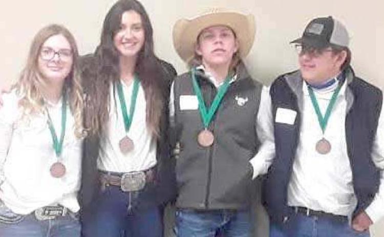 4-H MEMBERS COMPETE AT ROUNDUP