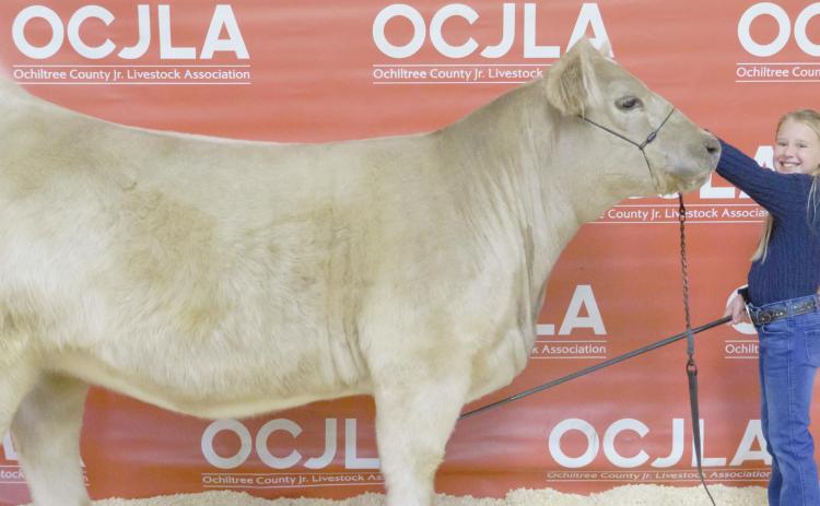 GRAND CHAMPION HEIFER