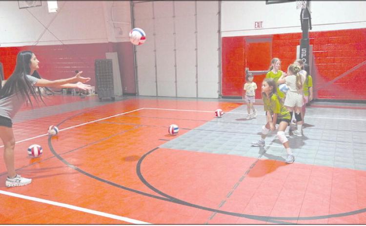 FUTURE VOLLEYBALL STARS