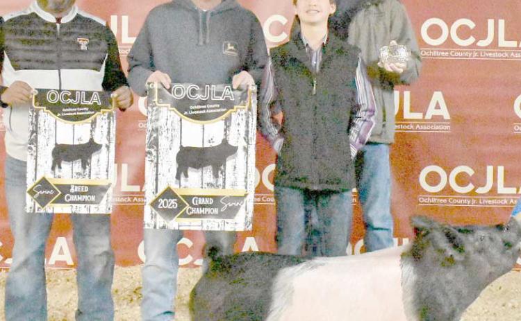 At the Ochiltree County Junior Livestock Show and Sale on Jan. 17-18, Conner Pribble took home the award for Grand Champion Swine. His animal was purchased by Western Equipment, 21 Farms, Joyce Smith, Farnsworth Seed, and Pribble Farms. Pictured are, from left, Ramon Vela, Jason Lilly, Connor Pribble, and David Peckenpaugh. ( Photo Credit: Morgan Dudley)