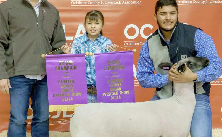 GRAND CHAMPION SHEEP— At the Ochiltree County Junior Livestock Show and Sale on Jan. 20-21, the prize for Grand Champion Sheep went to Dalton L’Esperance. His animal was bought by Premier Hot Oil Service. Pictured are, from left, Jason Pshigoda, Chloe Richardson, and Dalton L’Esperance. ( Photo credit: Brittany Morgan)
