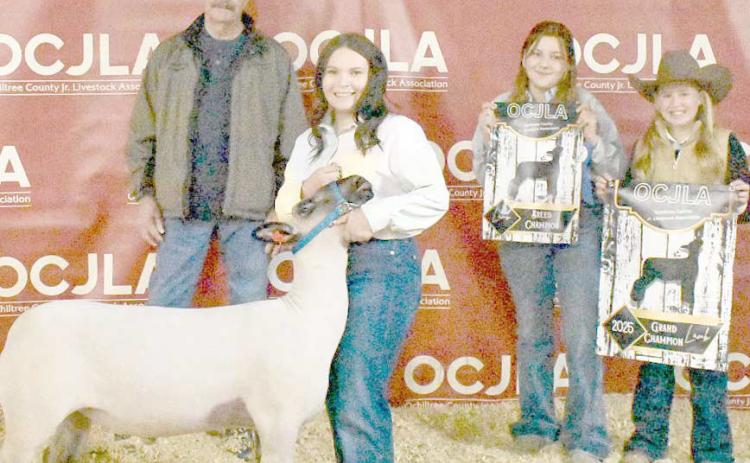 GRAND CHAMPION SHEEP